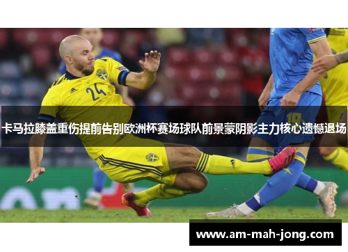 卡马拉膝盖重伤提前告别欧洲杯赛场球队前景蒙阴影主力核心遗憾退场